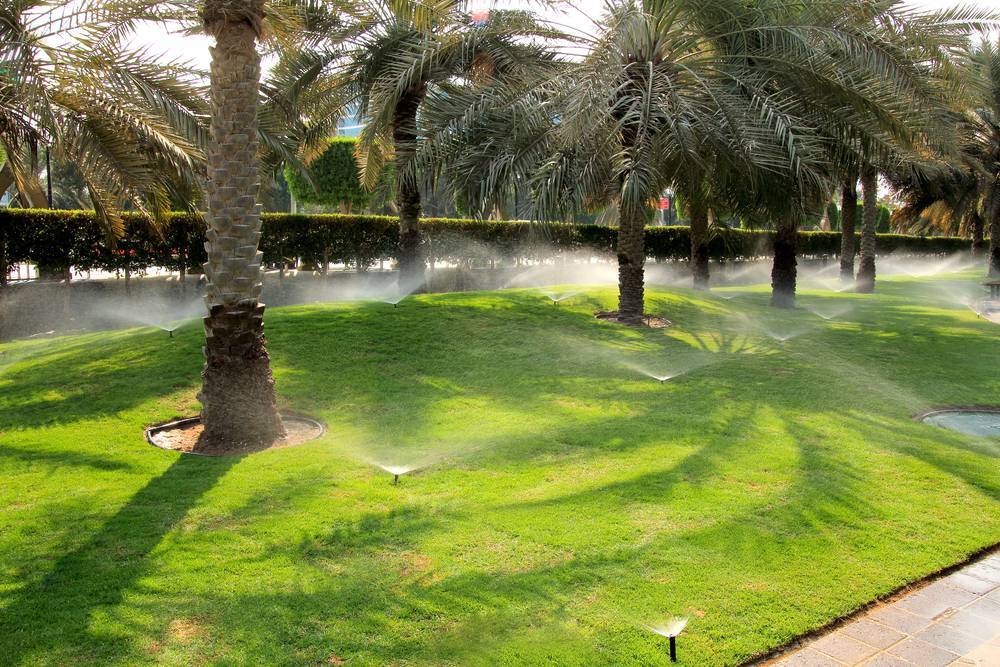 Water waste: the biggest threat to the growing Gulf and how smart water management solutions can save us