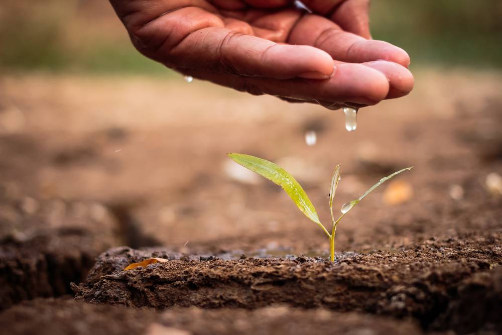 How to achieve the Dubai 2021 vision through cyclic water management