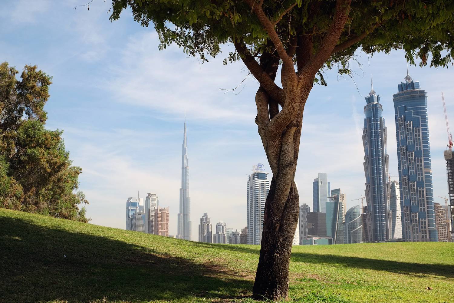 Sustainable urban Drainage Systems in the UAE: Creating positive change through design