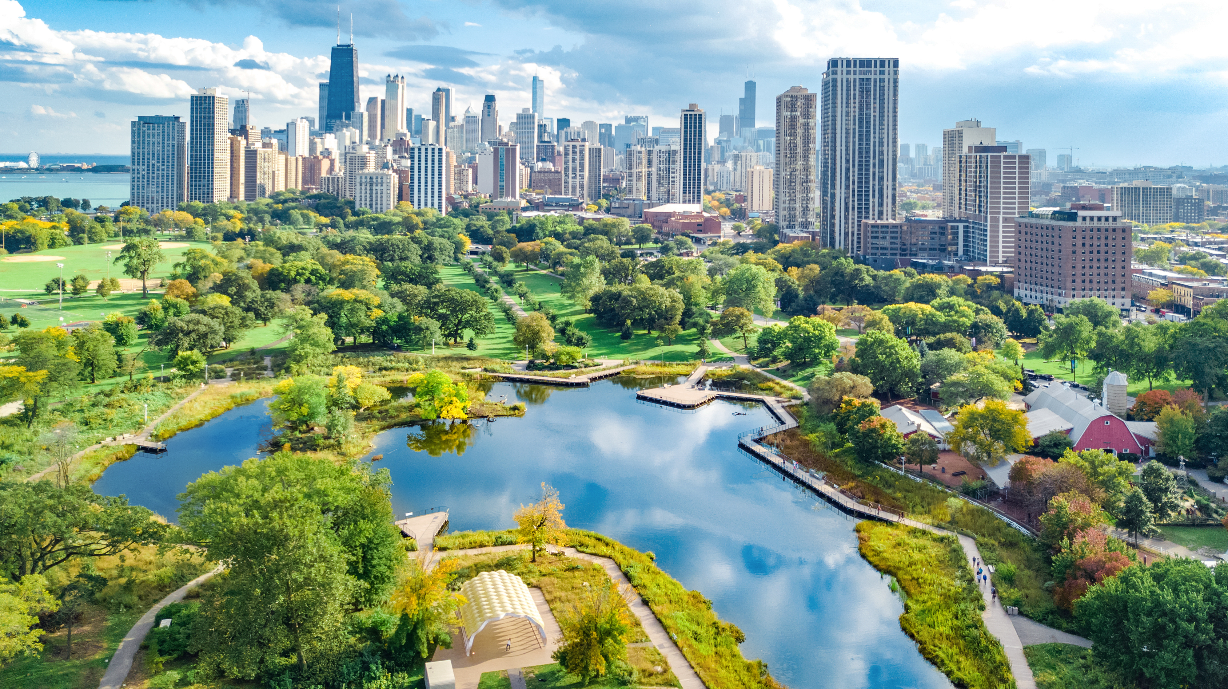 6 Reasons We Need Biodiversity in Urban Environments