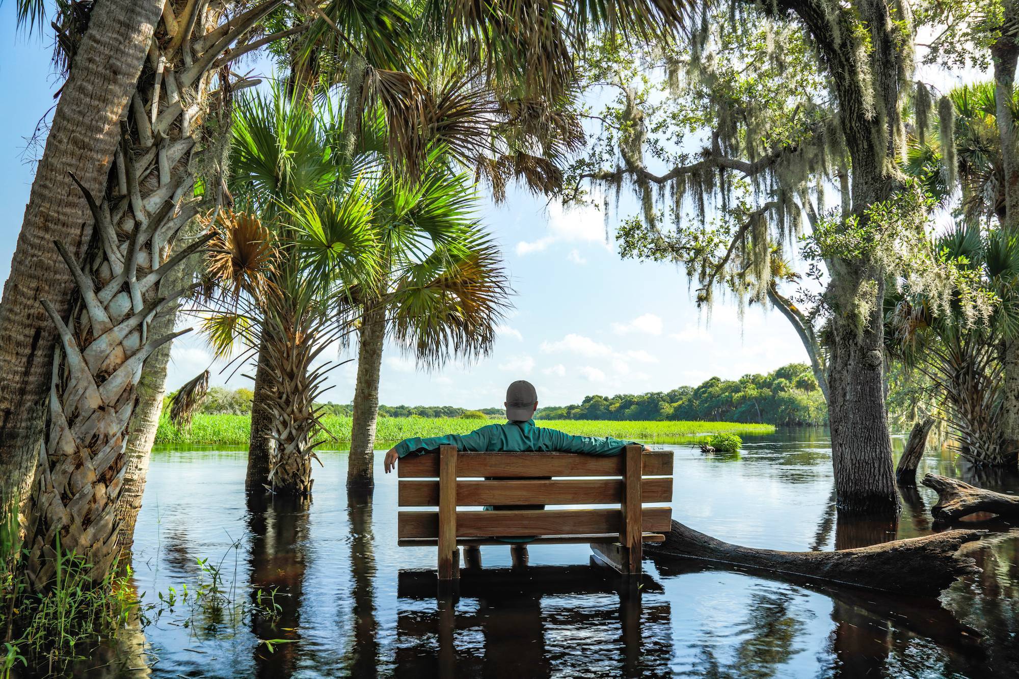 Should nature-based solutions be a consideration for flood risk management?