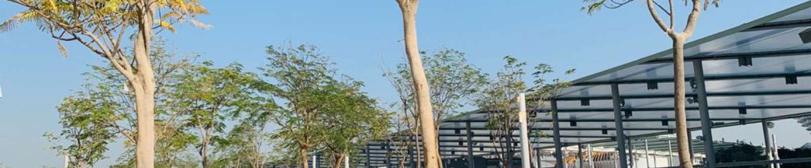 Expo2020 case study water management terrain polystorm permavoid rainwater attenuation solution